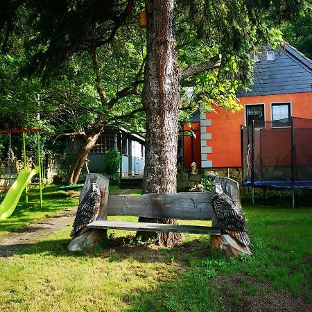 Ferienhaus Franz - An Der Elbe, Mit Grossem Garten Pirna Eksteriør billede