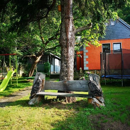 Ferienhaus Franz - An Der Elbe, Mit Grossem Garten Villa Pirna Eksteriør billede