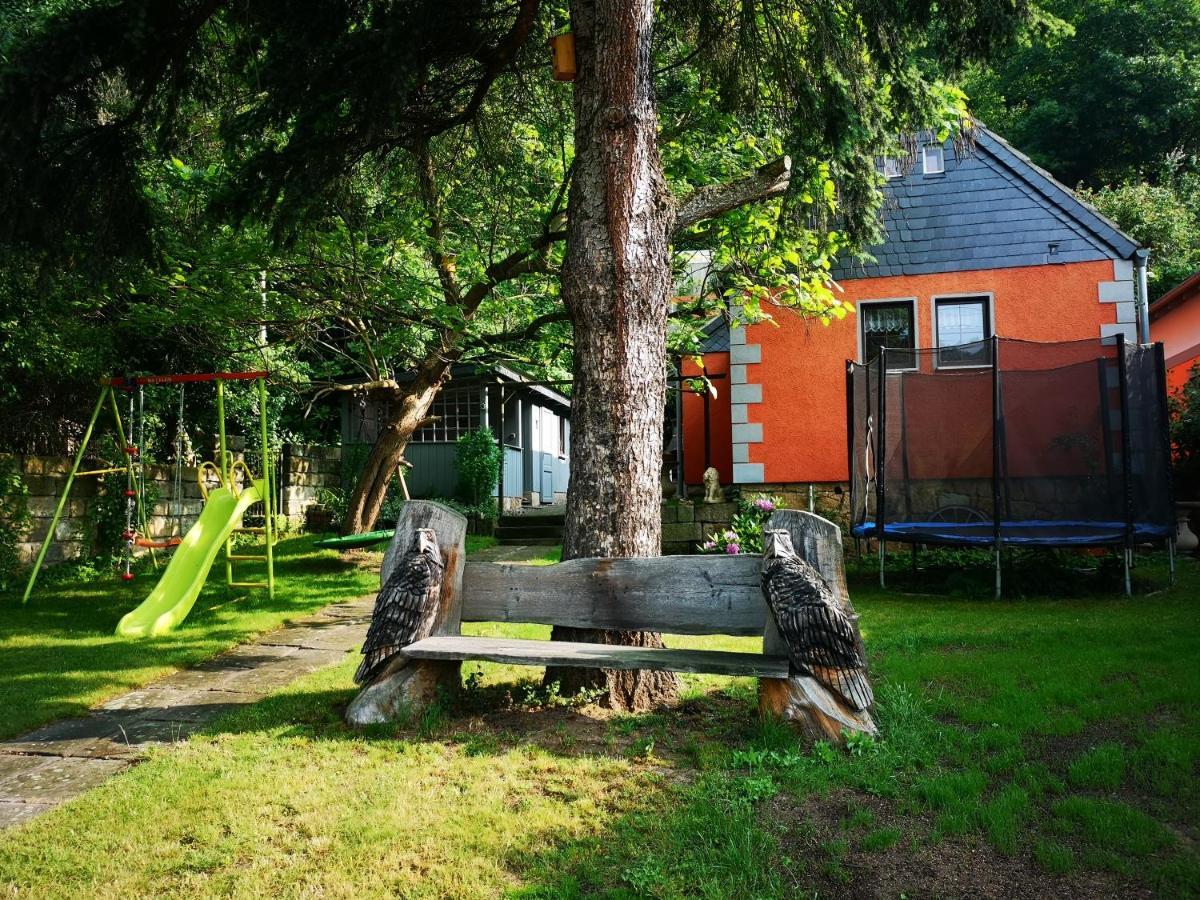 Ferienhaus Franz - An Der Elbe, Mit Grossem Garten Villa Pirna Eksteriør billede