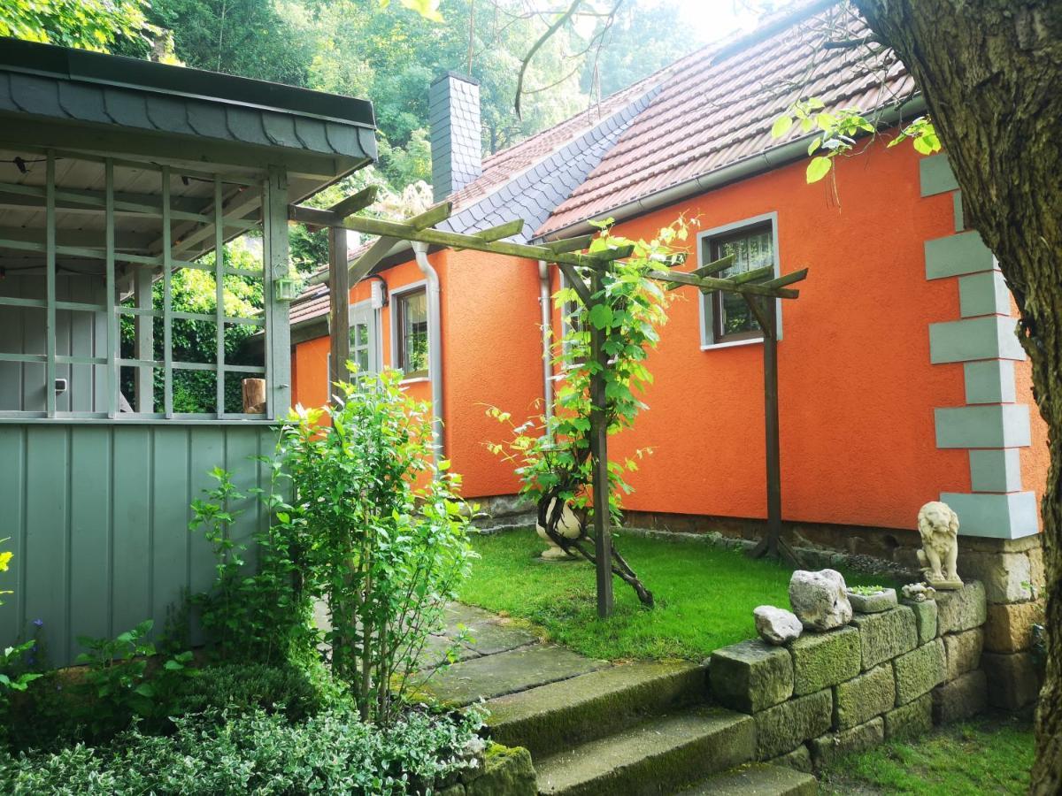 Ferienhaus Franz - An Der Elbe, Mit Grossem Garten Pirna Eksteriør billede