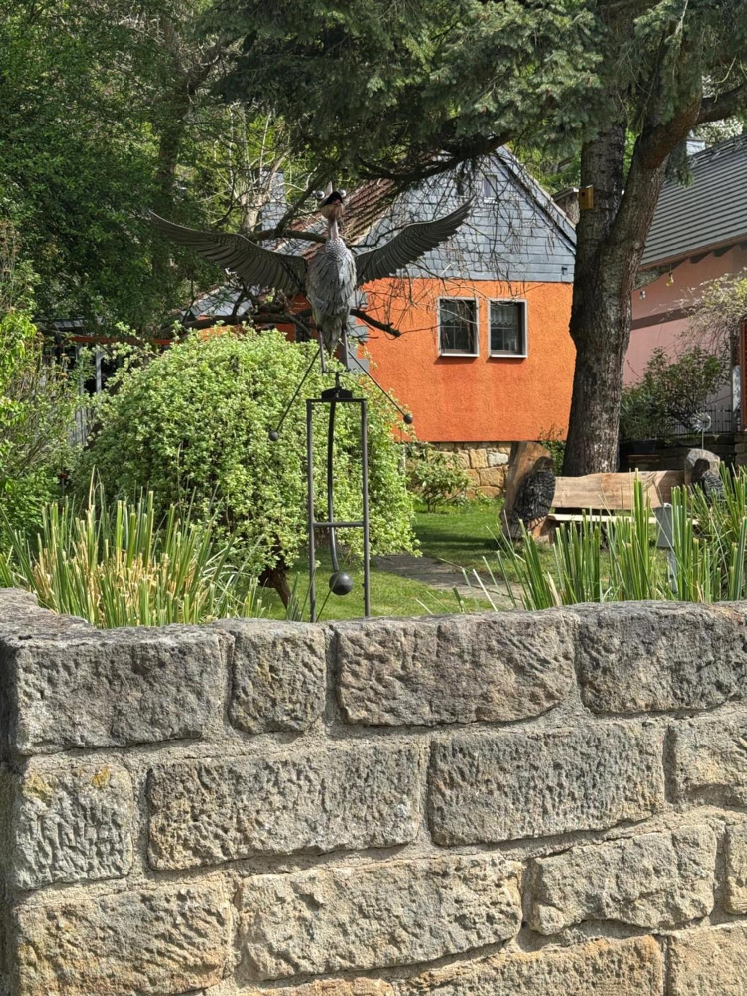 Ferienhaus Franz - An Der Elbe, Mit Grossem Garten Pirna Eksteriør billede