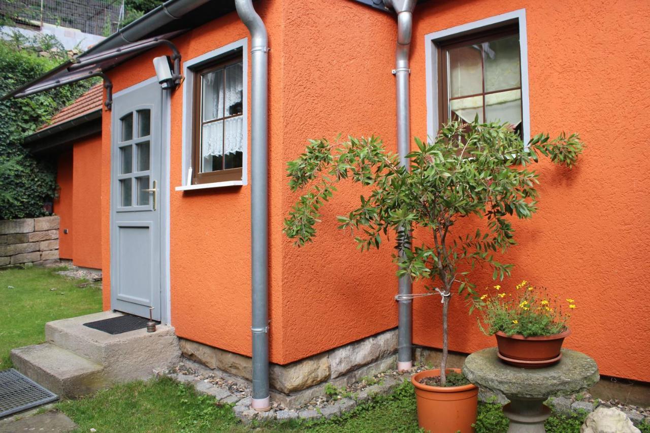 Ferienhaus Franz - An Der Elbe, Mit Grossem Garten Pirna Eksteriør billede