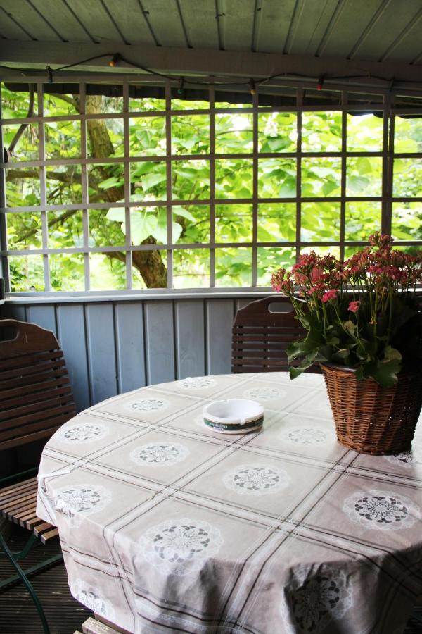 Ferienhaus Franz - An Der Elbe, Mit Grossem Garten Pirna Eksteriør billede
